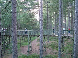 Moors Valley Country Park 