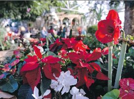  Regina Floral Conservatory