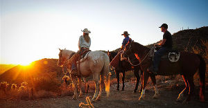 Cave Creek Trail Rides