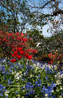 Christchurch Botanic Garden