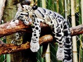 Talley Valley Wildlife Sanctuary