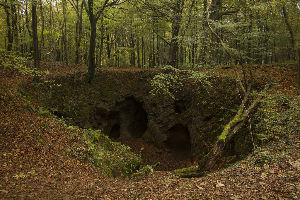 Fforest Fawr 