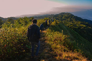 Doi Pha Hom Pok National Park 
