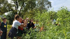 Botanical Garden Arturo E. Ragonese