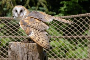 Utahs Hogle Zoo