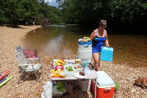 Pack a Picnic and Head to the Vineyards