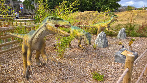 Wingham Wildlife Park 