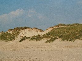 Dunenreservat Nordholland