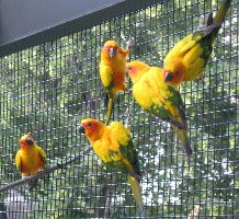 Tracy Aviary