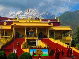 Meditate at Gyuto Monastery