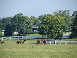 Blackberry Farm Historical Village