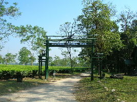 The Gorumara National Park