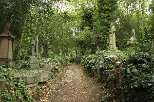 Highgate Cemetery