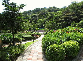 Jordan Valley Park Community Garden