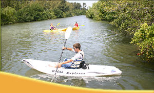 Paddle with the Manatees on a Cocoa Beach Kayaking Tour