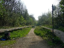 Mill Hill Old Railway Nature Reserve