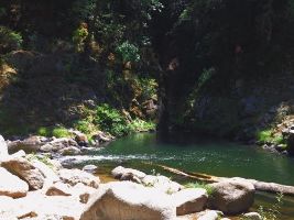 the Garden of Eden