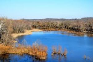 Lake Springfield Park