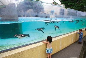 Akita Omoriyama Zoo