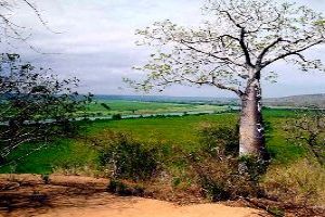 Kissama National Park- A must watch wildlife safari spot