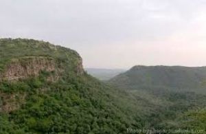 Sawai Man Singh Sanctuary