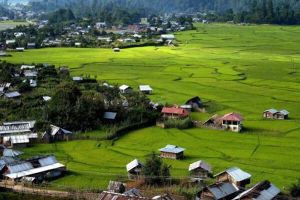 Dilopolyang Maniipolyang 