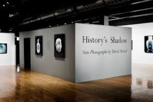 Museum of Photography