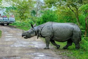 11 Days 10 Nights bomdila Holiday Package by Northeast Tour