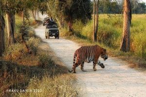 06 NIGHTS 07 DAYS GLORIOUS ASSAM – MEGHALAYA TOUR