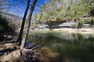 Bankhead National Forest