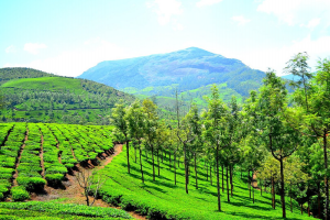 Celebrate Diwali in Gods Own Country - Kerala