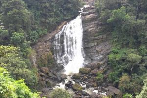 3 Days 2 Nights munnar Tour Package by Danata Geo Travel