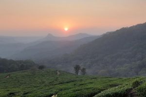 4 Days 3 Nights munnar Tour Package by Danata Geo Travel