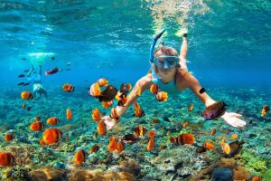 Bangkok Pattaya Trip, 5 Days 4 Nights