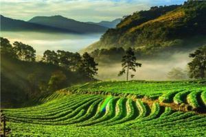 Coorg Holiday Package