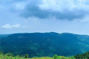 Yercaud 1N 2D Package