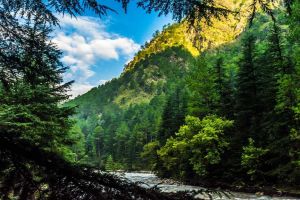 3 Days 2 Nights Kasol Tour Package by Tripigo.in