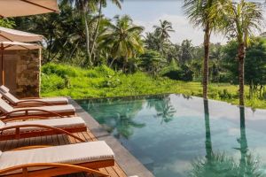 8 Days 7 Nights ubud Tour Package premium by balisutha tour service