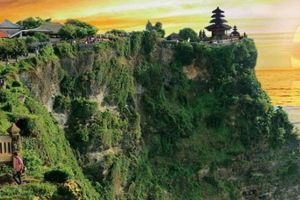 Bali 5 Days 4 Nights ubud Tour Package by balisutha tour service