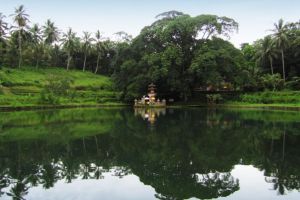 Bali 7 Days 6 Nights ubud Tour Package by balisutha tour service