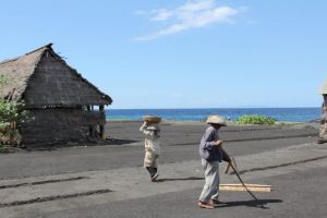 Bali 7 Days 6 Nights ubud Tour Package by balisutha tour service