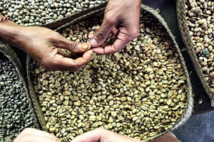 Bali low budget 8 Days 7 Nights ubud Holiday Package