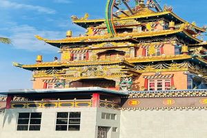 Coorg & Mysore Tour Package