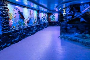 Coorg & Mysore Tour Package