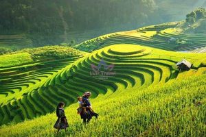 Ecstatic 10 Days Ho Chi Minh City to Sapa Honeymoon Vacation Package