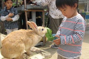 Okinawa Childrens World Zoo and Museum