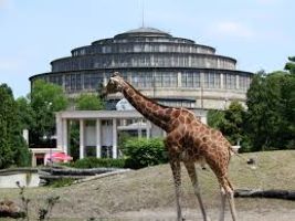 Wroclaw Zoo 