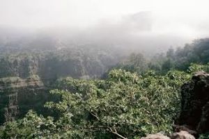 Day Forest National Park