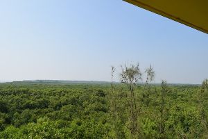 Bakkhali Watch Tower