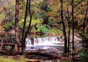 Wissahickon Valley Park